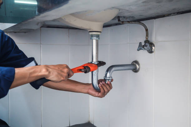 Best Plumbing Repair Near Me  in Bushnell, FL