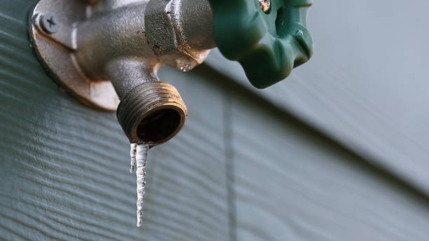 Best Leak Detection Services  in Bushnell, FL