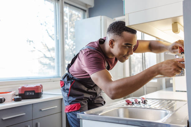 Best Water Softener Installation  in Bushnell, FL