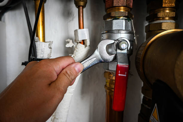 Best Residential Plumbing Services  in Bushnell, FL